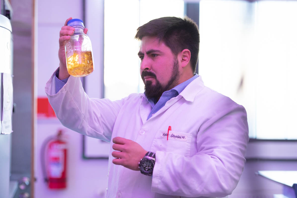 Investigación